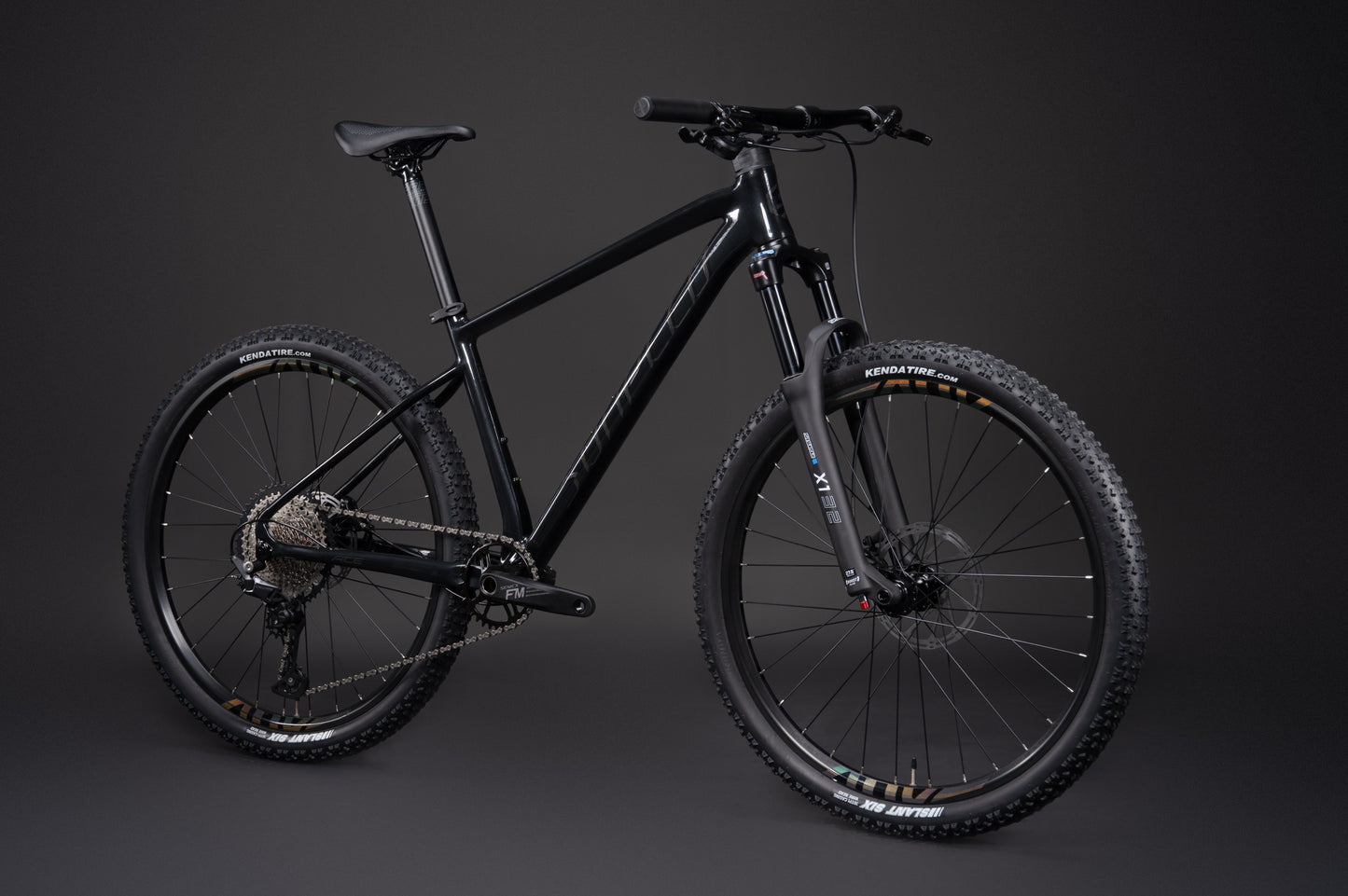 ACE 29" Hardtail Mountain Bike 12-speed - Shimano Deore - VRIDE - Bicycle & Accessories