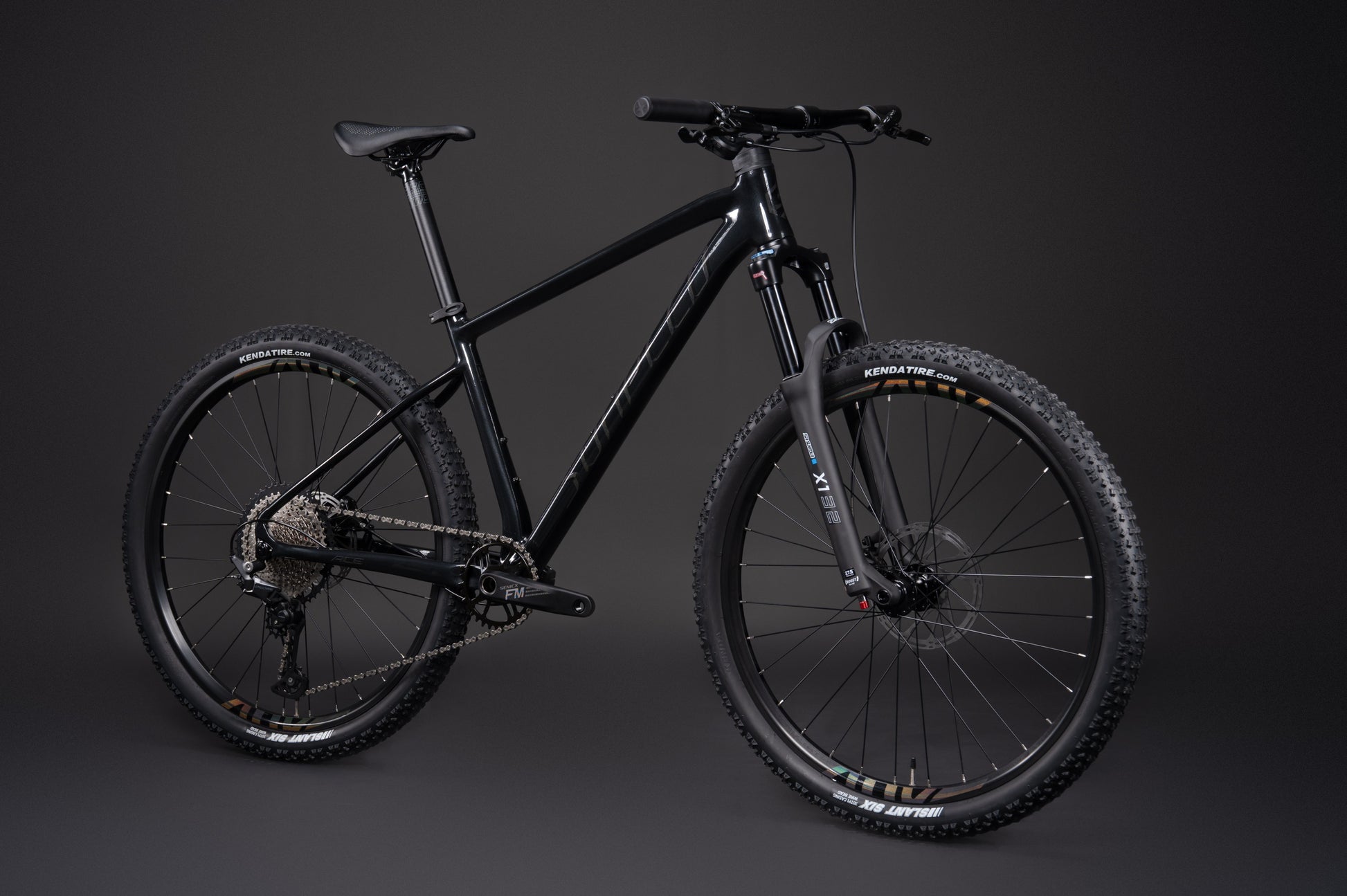 ACE 29" Hardtail Mountain Bike 12-speed - Shimano Deore - VRIDE - Bicycle & Accessories