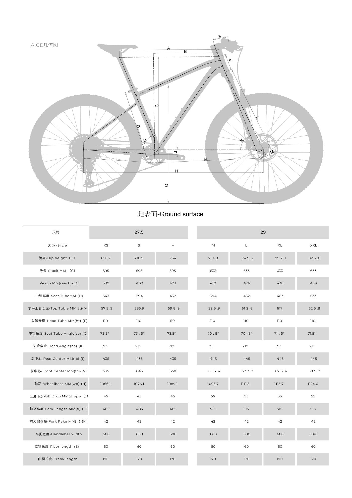 ACE 29" Hardtail Mountain Bike 12-speed - Shimano Deore - VRIDE - Bicycle & Accessories