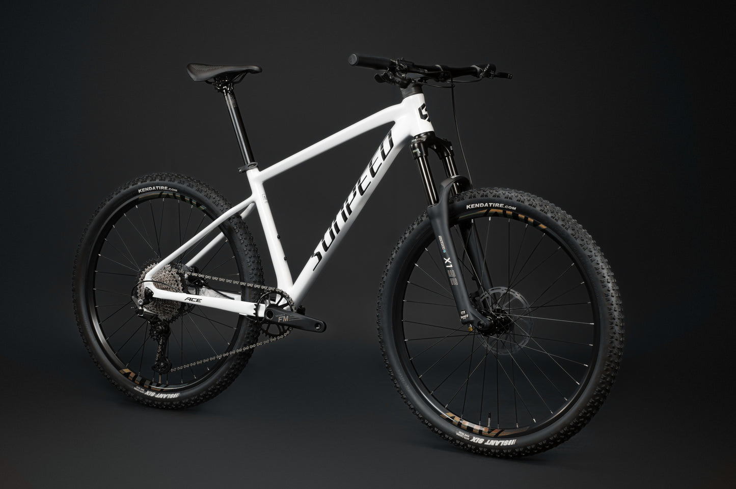 ACE 29" Hardtail Mountain Bike 12-speed - Shimano Deore - VRIDE - Bicycle & Accessories