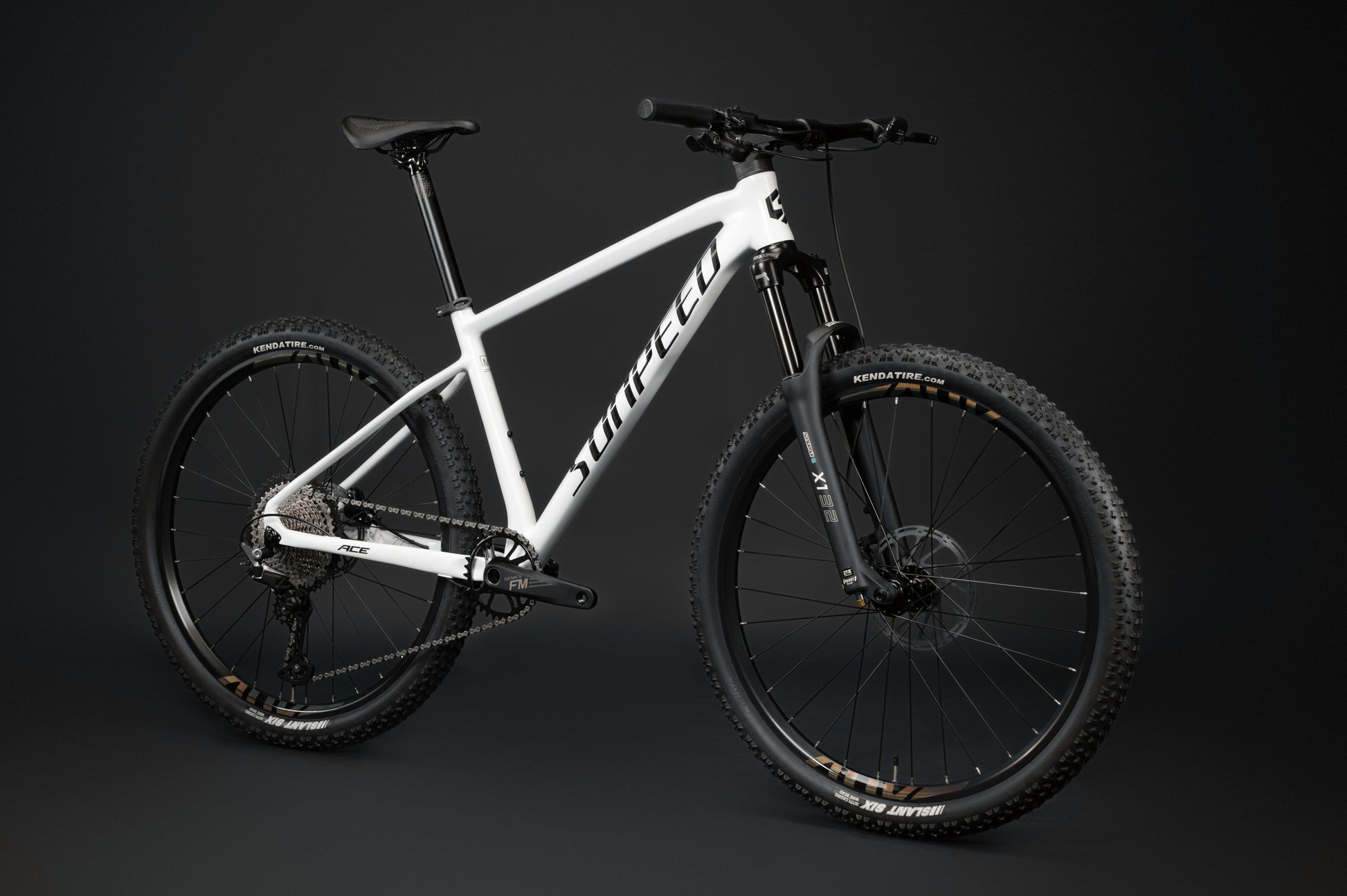 ACE 29" Hardtail Mountain Bike 12-speed - Shimano Deore - VRIDE - Bicycle & Accessories