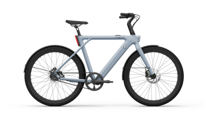 CGO009 Smart Electric Bike - TENWAYS