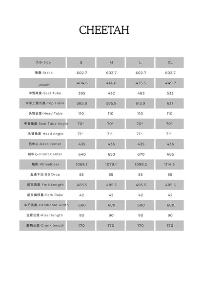 CHEETAH 29" Hardtail Mountain Bike 12-speed - SRAM SX Eagle - VRIDE - Bicycle & Accessories