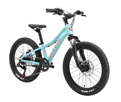 YOUTH Kids' 20" Mountain Bike 7-speed - Shimano TZ50 - VRIDE - Bicycle & Accessories
