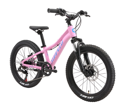 YOUTH Kids' 20" Mountain Bike 7-speed - Shimano TZ50 - VRIDE - Bicycle & Accessories