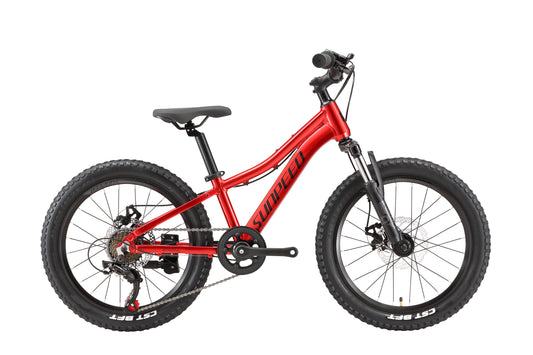 VRIDE Youth kids 20-inch mountain bike with Shimano gears, suitable for ages 6 to 9, shown with frame and tires.