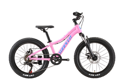 YOUTH Kids' 20" Mountain Bike 7-speed - Shimano TZ50 - VRIDE - Bicycle & Accessories