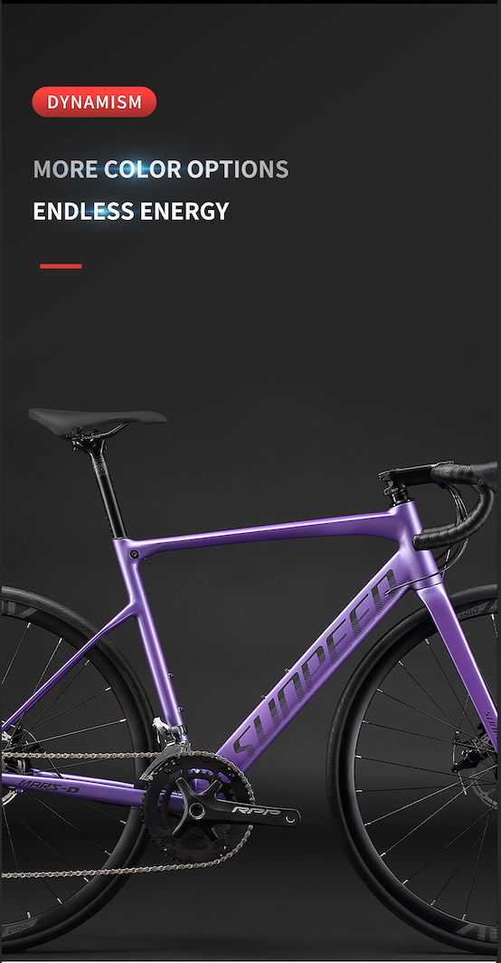 MARS-D Endurance Road Bike 16-Speed - Shimano Claris - VRIDE - Bicycle & Accessories