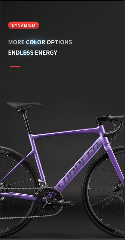 MARS-D Endurance Road Bike 16-Speed - Shimano Claris - VRIDE - Bicycle & Accessories