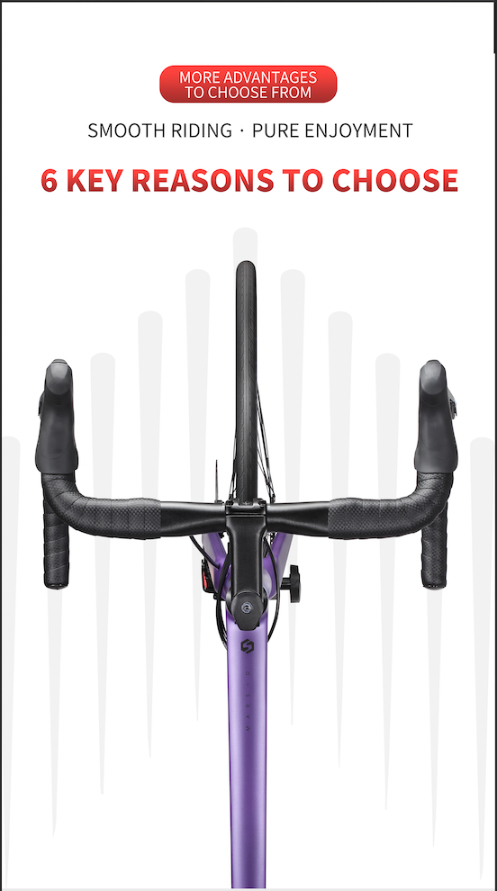 MARS-D Endurance Road Bike 16-Speed - Shimano Claris - VRIDE - Bicycle & Accessories