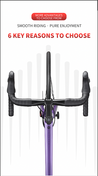 MARS-D Endurance Road Bike 16-Speed - Shimano Claris - VRIDE - Bicycle & Accessories