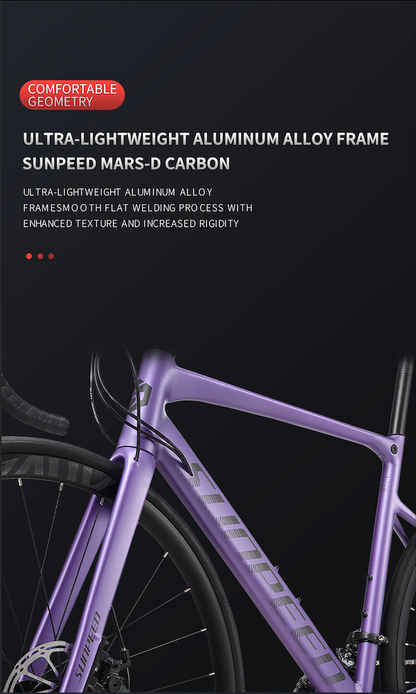 MARS-D Endurance Road Bike 16-Speed - Shimano Claris - VRIDE - Bicycle & Accessories