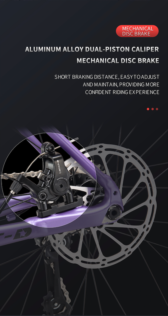 MARS-D Endurance Road Bike 16-Speed - Shimano Claris - VRIDE - Bicycle & Accessories