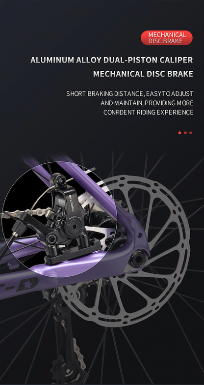 MARS-D Endurance Road Bike 16-Speed - Shimano Claris - VRIDE - Bicycle & Accessories