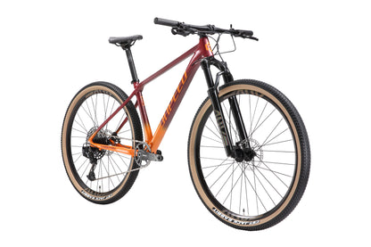 CHEETAH 29" Hardtail Mountain Bike 12-speed - SRAM SX Eagle - VRIDE - Bicycle & Accessories