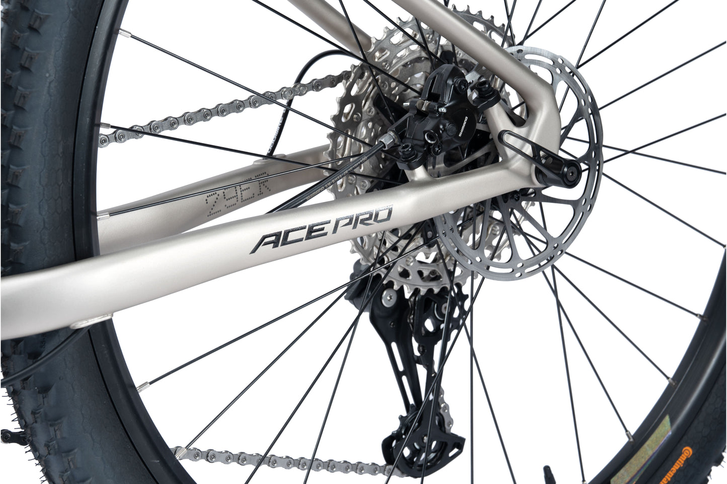 ACE PRO 29" Hardtail Mountain Bike 12-speed - Shimano Deore - VRIDE - Bicycle & Accessories