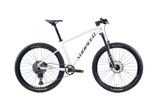 ACE 29" Hardtail Mountain Bike 12-speed - Shimano Deore - VRIDE - Bicycle & Accessories