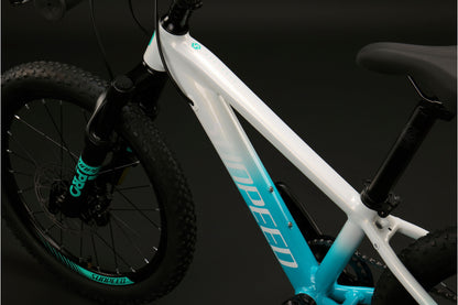 HERO Kids' 20" & 24" Mountain Bike 9-speed - Shimano Altus - VRIDE - Bicycle & Accessories