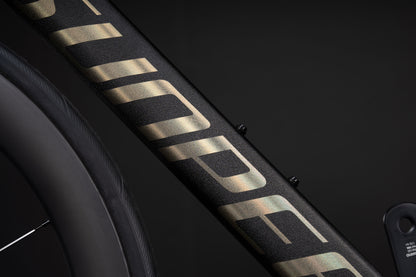 VICTORY EXPERT+ - Shimano Ultegra Di2