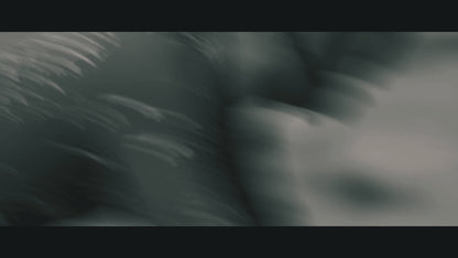 VICTORY EXPERT - Shimano 105 Di2